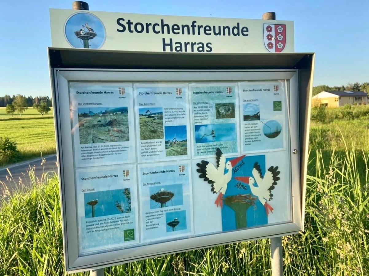 Ferienwohnung Storchennest Eisfeld المظهر الخارجي الصورة
